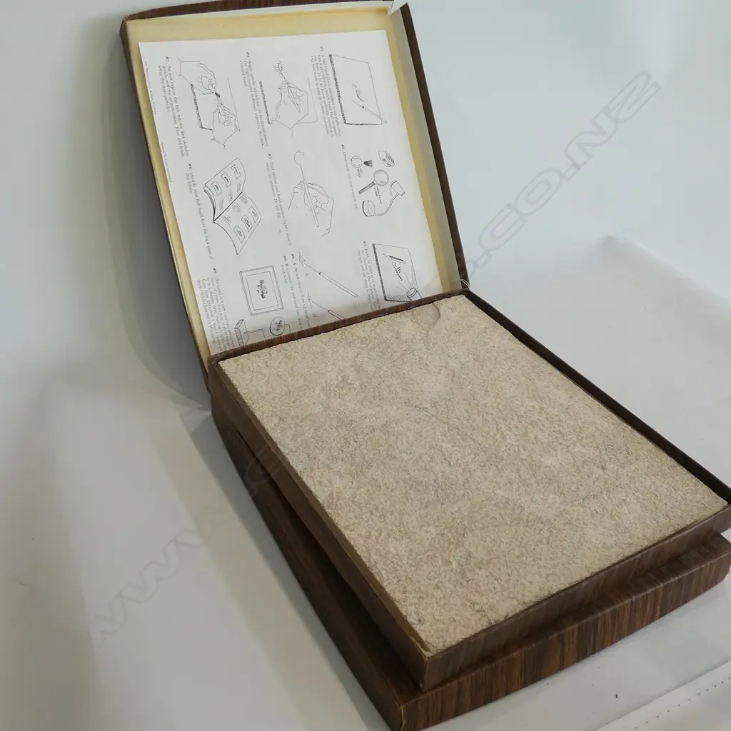2 FISH FOSSILS IN STONE BOXED 'THE STONE FISH'  Image 1++