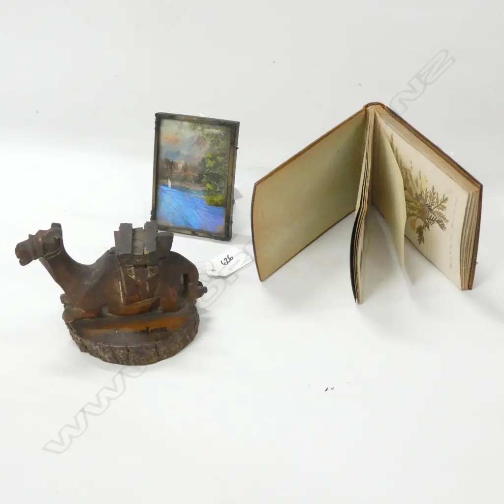 JERUSALEM INK WELL BOTANICAL SPECIMEN BOOK + BUTTERFLY WING PICTURE Image 1++