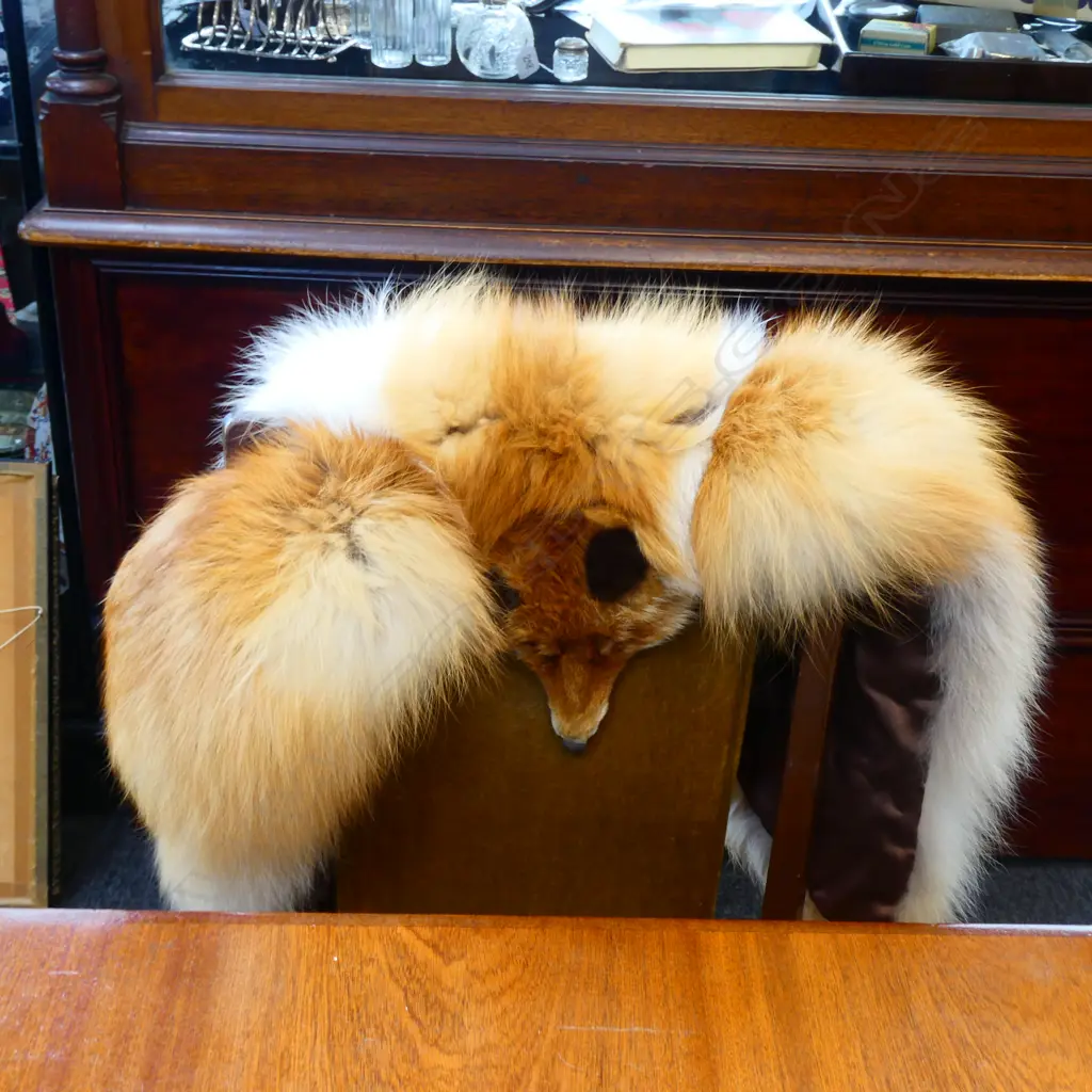 RED FOX FUR CAPE Image 1++