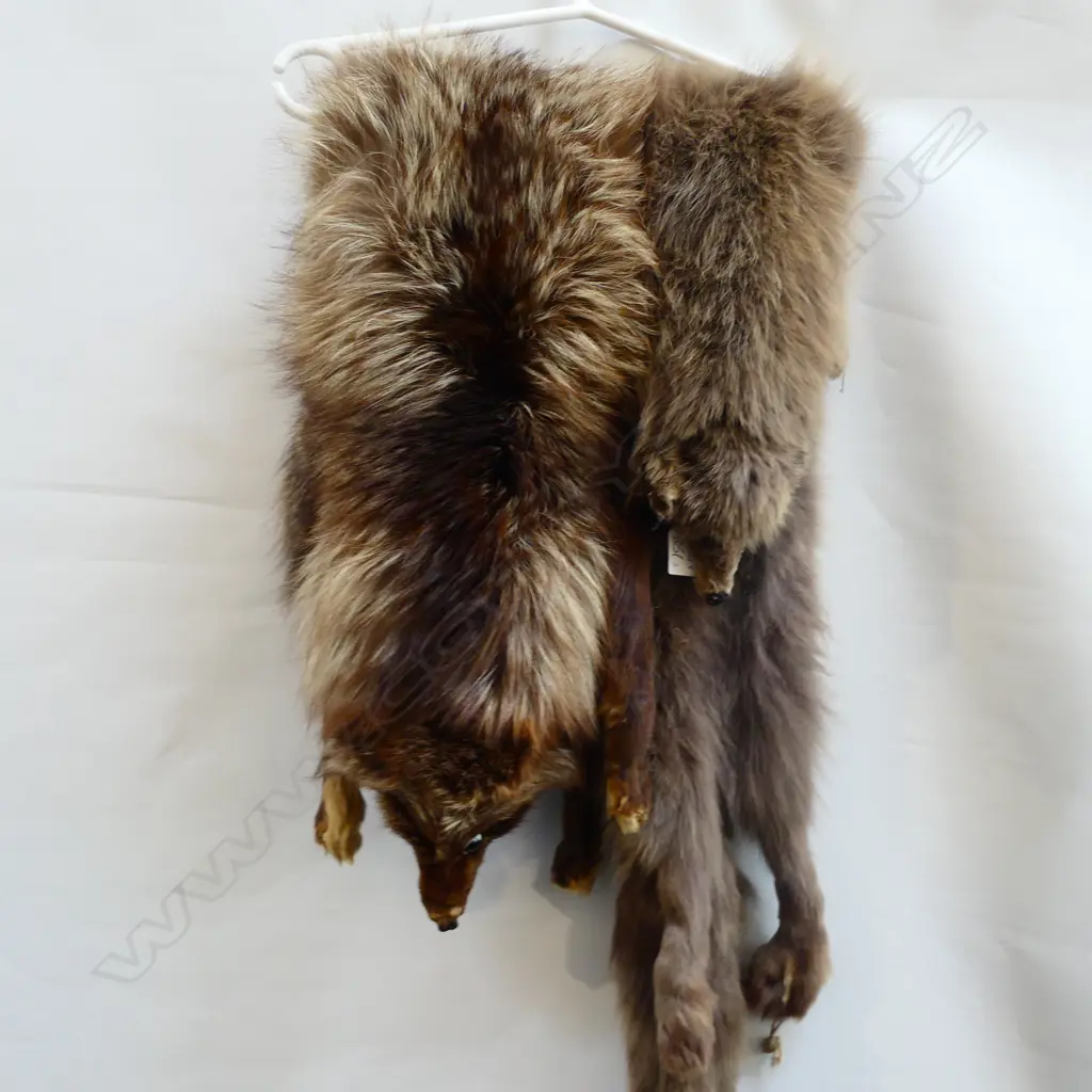2 FOX STOLES  Image 1++