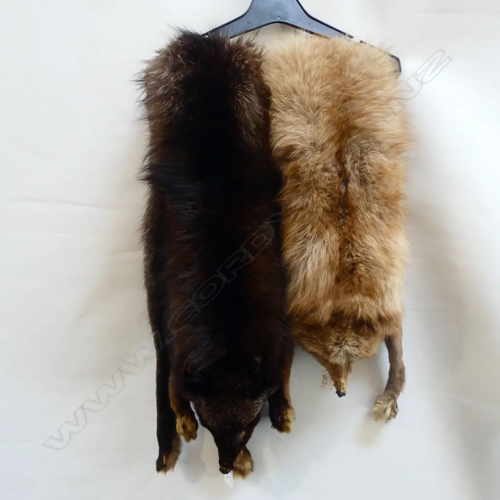2 FOX STOLES  Image 1++