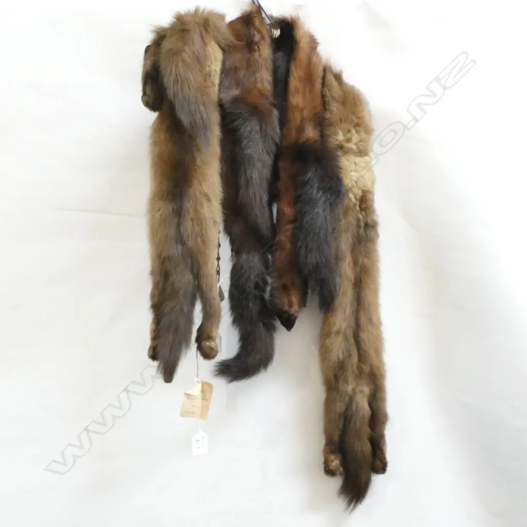 2 SABLE STOLES Image 1++