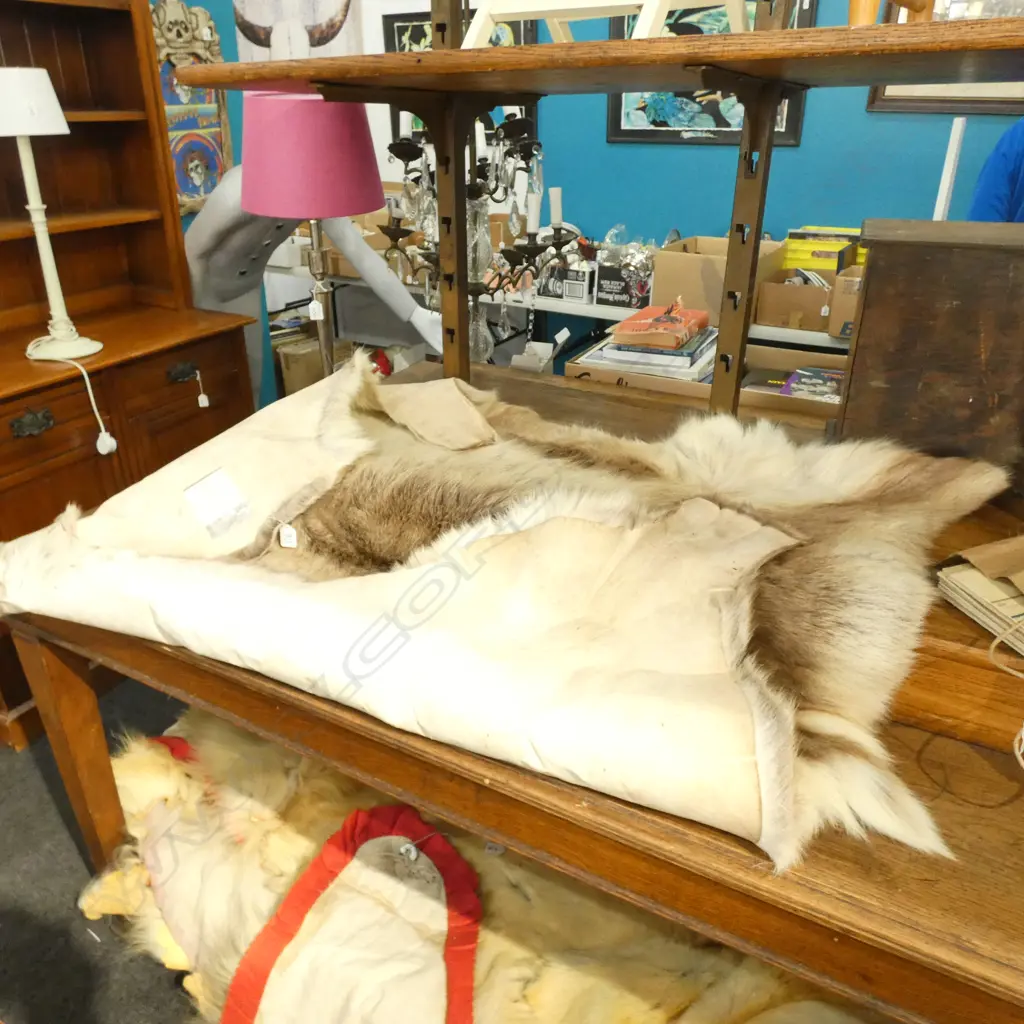 LAPLAND REINDEER HIDE  1350 X 1400MM Image 1++