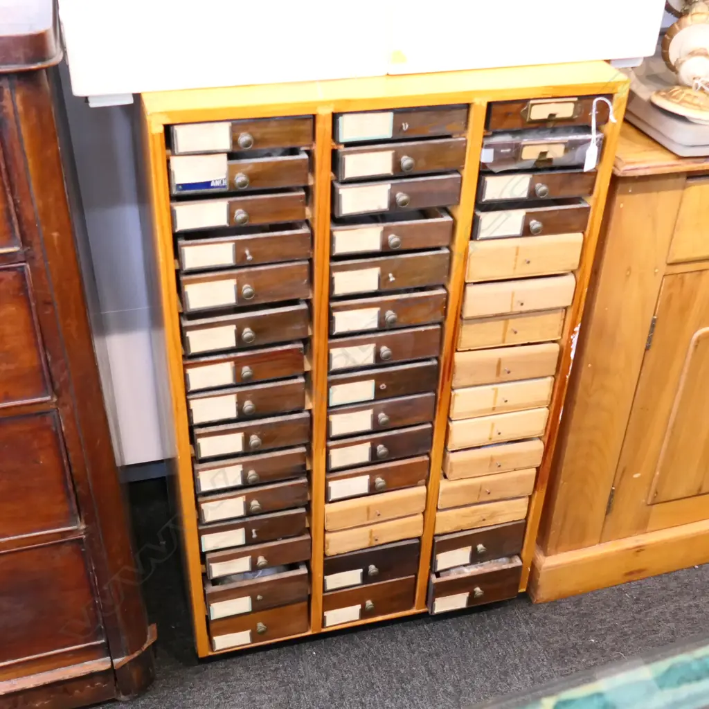 LARGE SHELL COLLECTION Image 1++