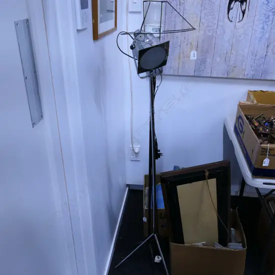 2 STANDARD LAMPS 