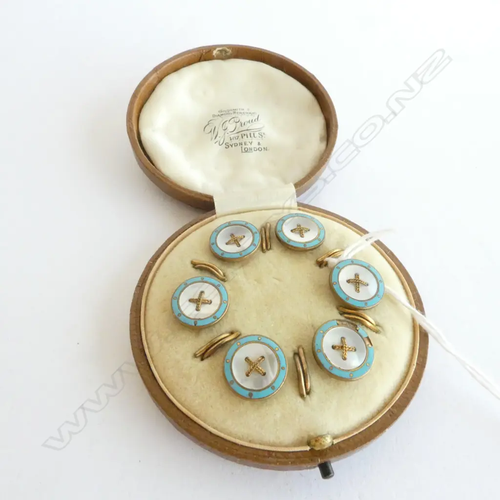 SET BUTTONS, ENAmmELLED, LOVELY ANTIQUE SET IN CASE, PROUDS OF SYDNEY Image 1++