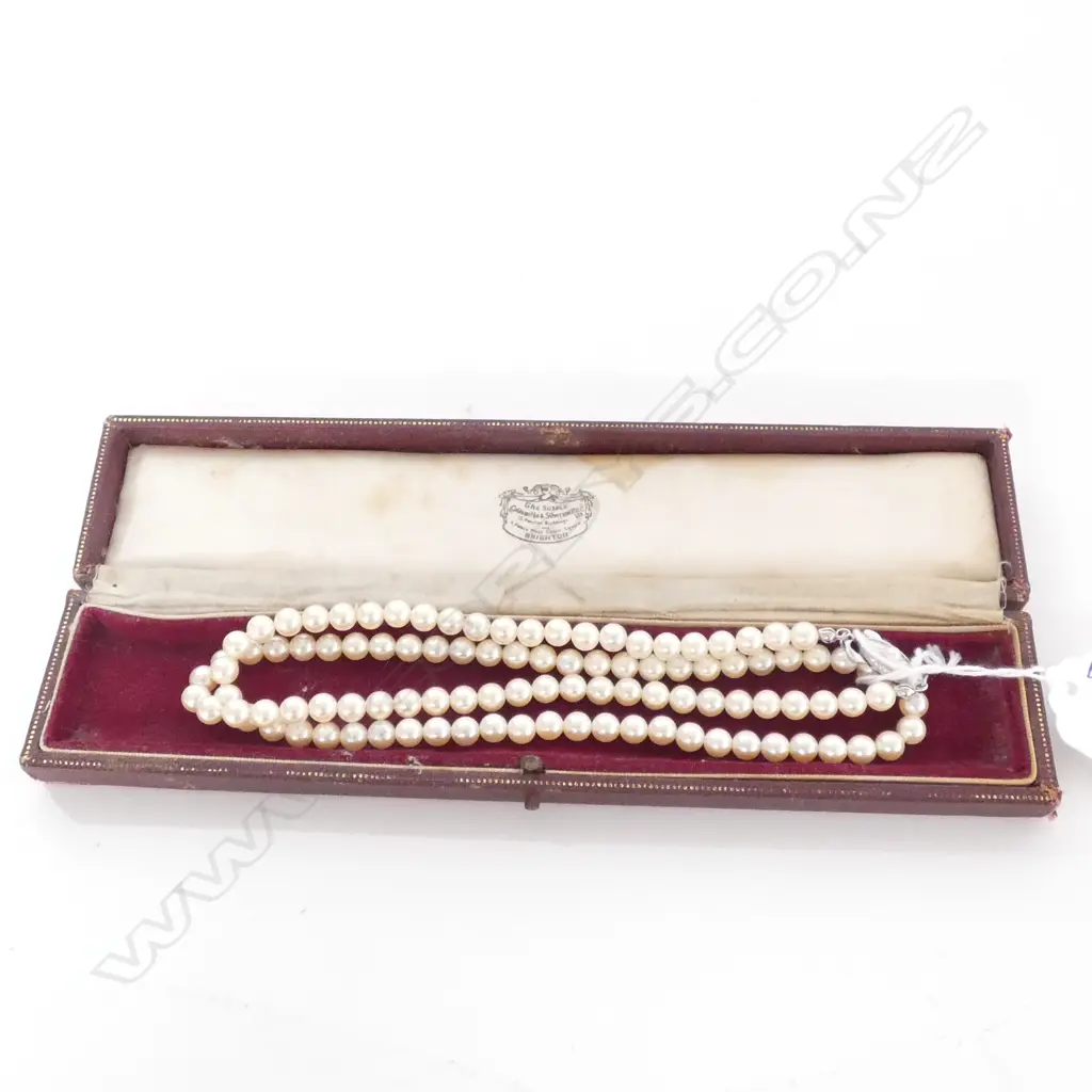 SIMULATED PEARL NECKLACE STG CLASP L. 600MM Image 1++