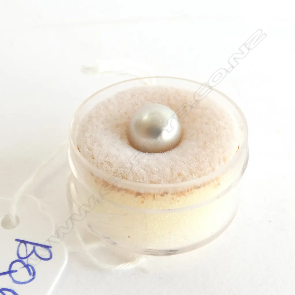 8MM SALT WATER TAHITIAN PEARL Image 1++
