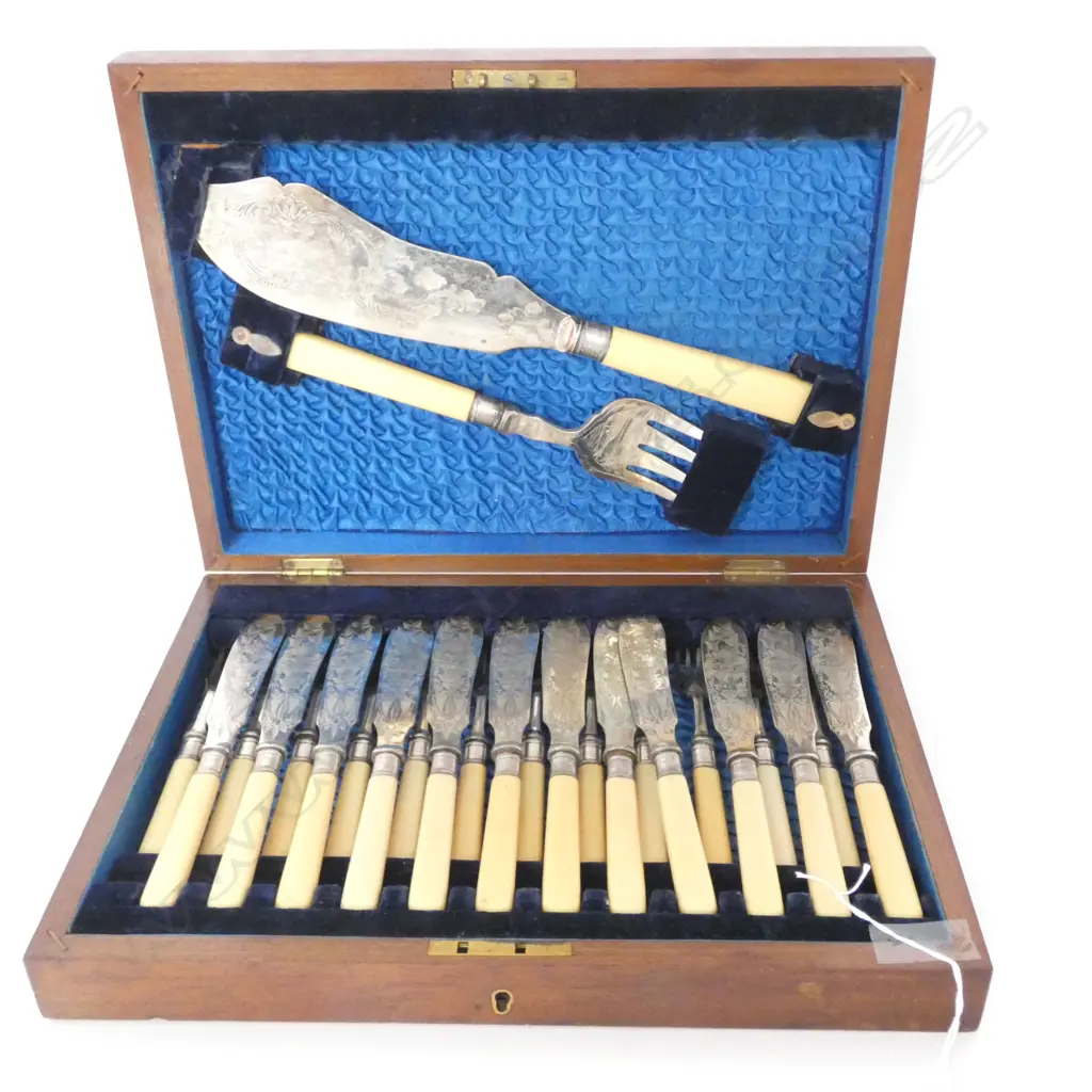 BOX FISH KNIVES Image 1++