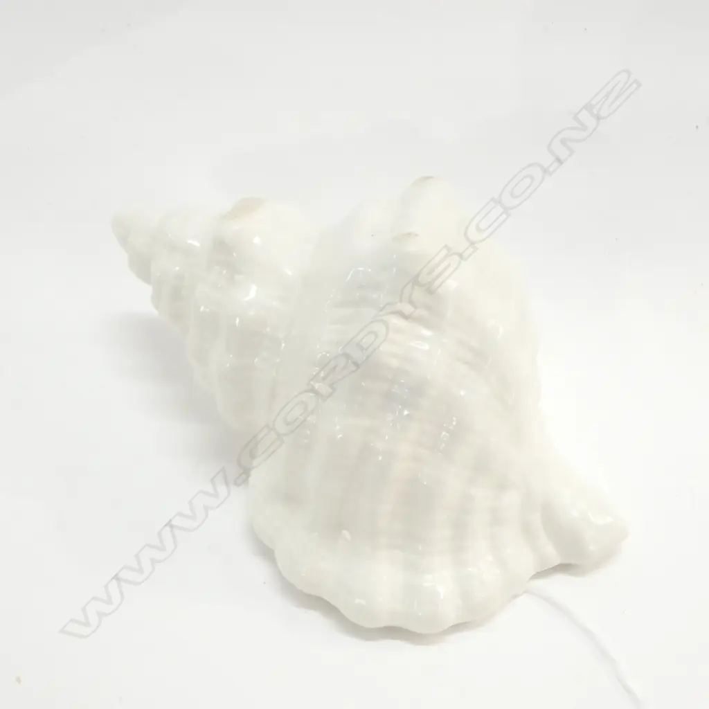 SYLVAC SHELL VASE L190mm Image 1++