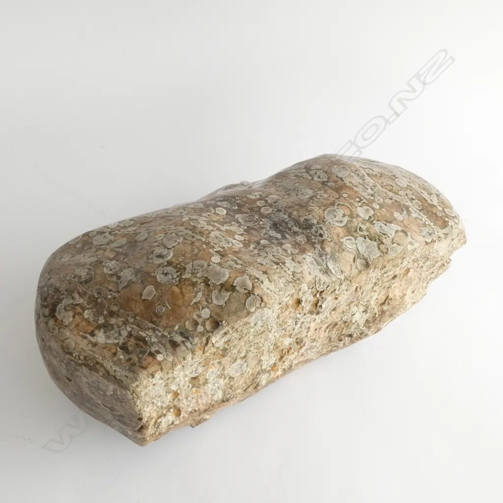 NATURAL ORIENTAL SCHOLARS STONE?  BOULDER Image 1++