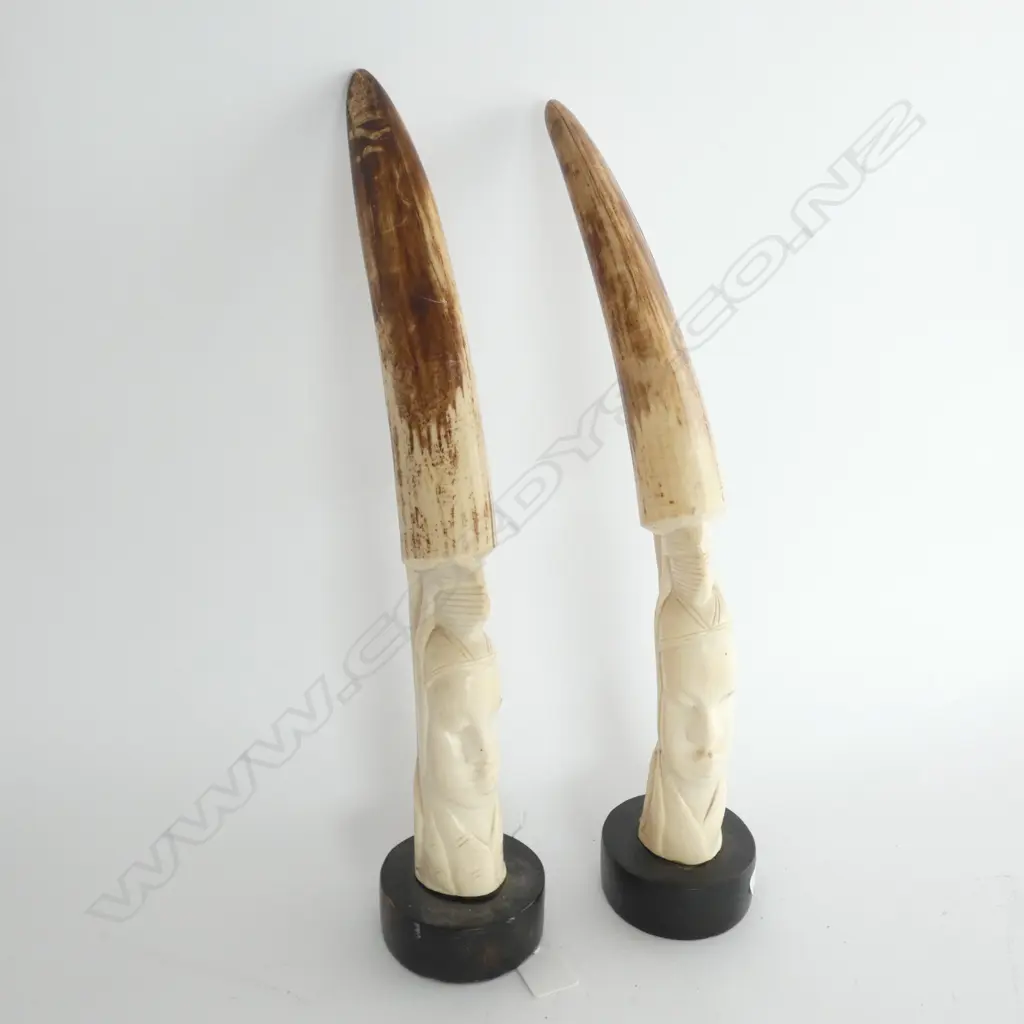 [19686] PAIR AFRICAN CARVED IVORY HORNS Image 1++