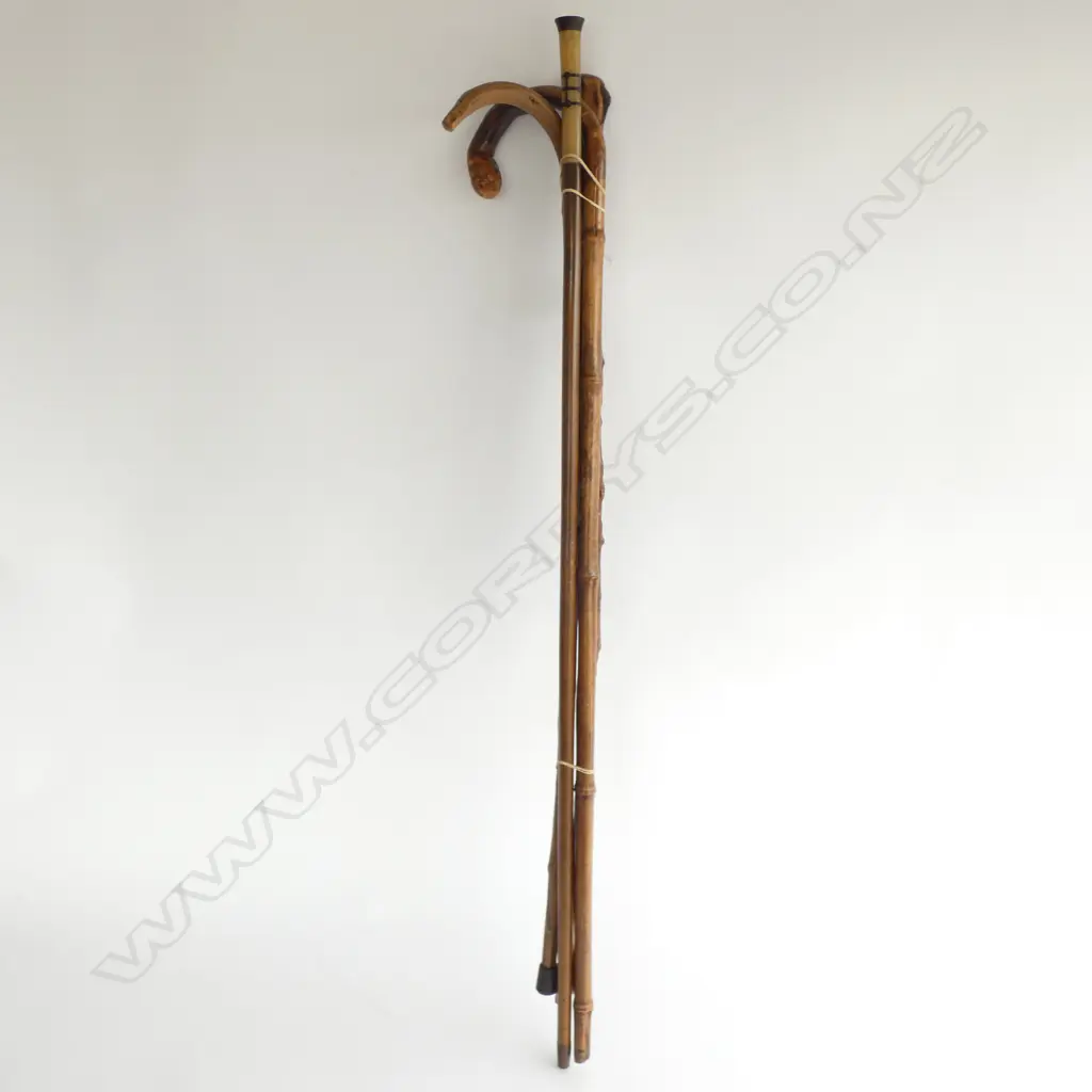 4 EARLY 20THC WALKING STICKS Image 1++