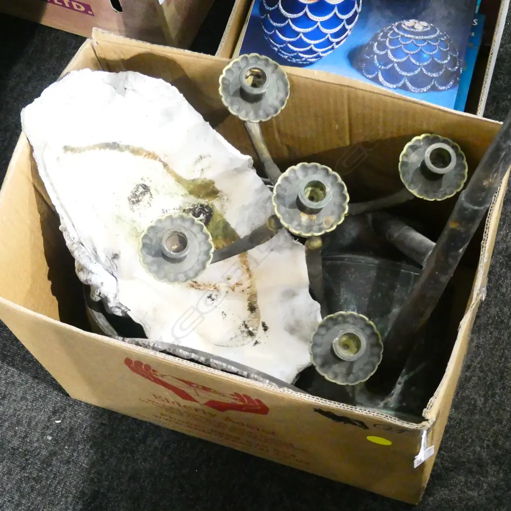 BOX LOT WATERING CAN, LGE SHELL, CANDELABRAH ETC Image 1++