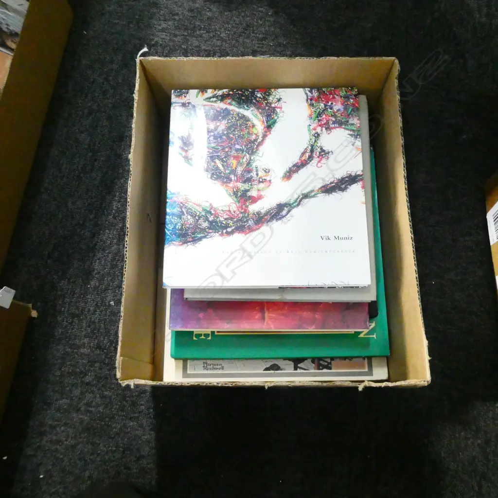BOX LOT BOOKS; ART INTEREST Image 1++