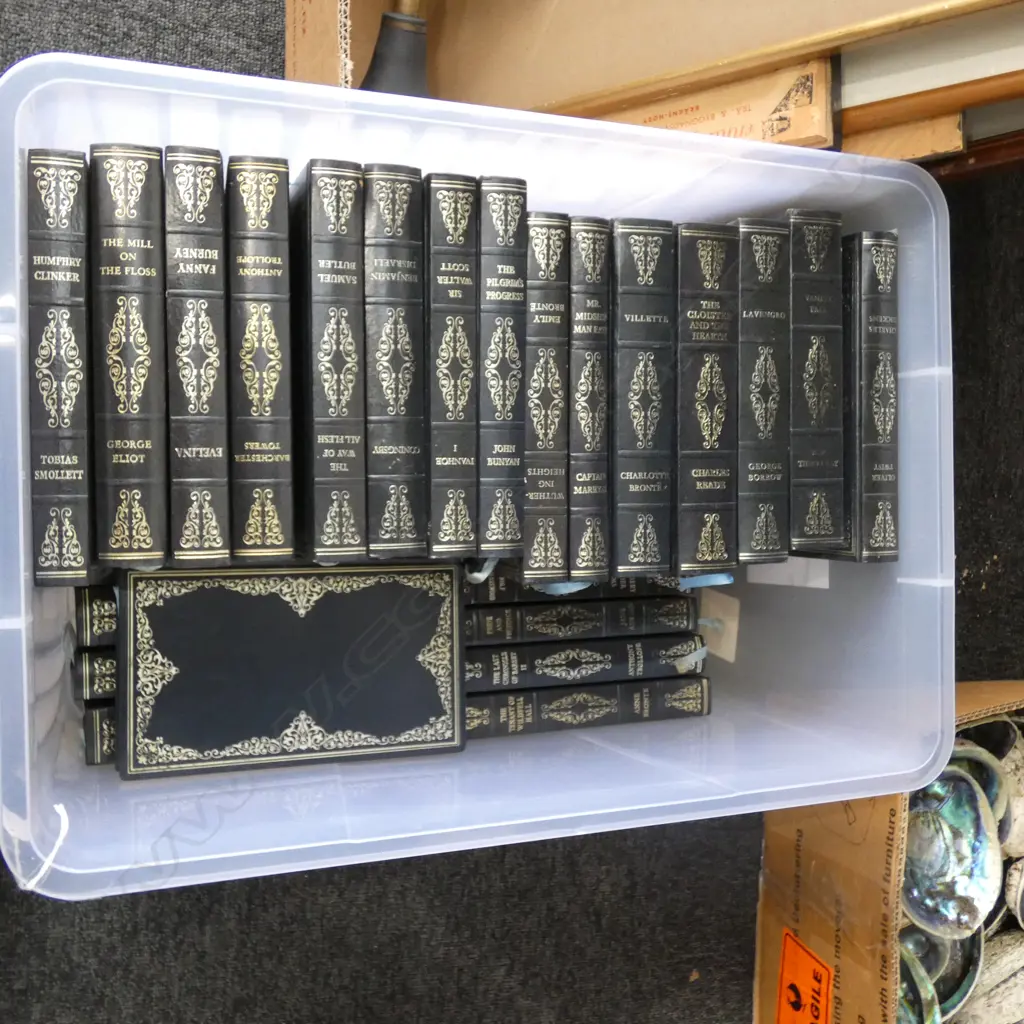 BOX LOT CLASSIC NOVELS  Image 1++