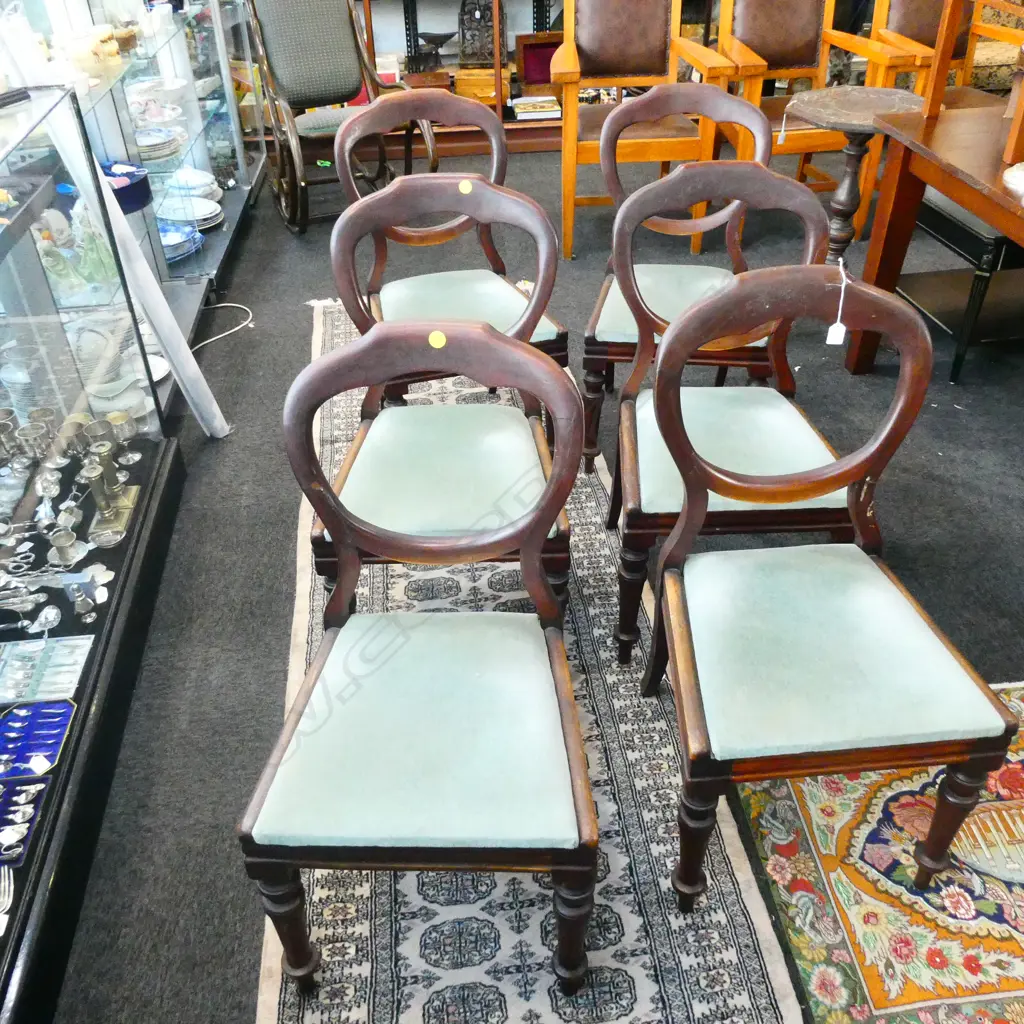 6 19thC DROP IN SEAT BALLOON BACK CHAIRS  Image 1++