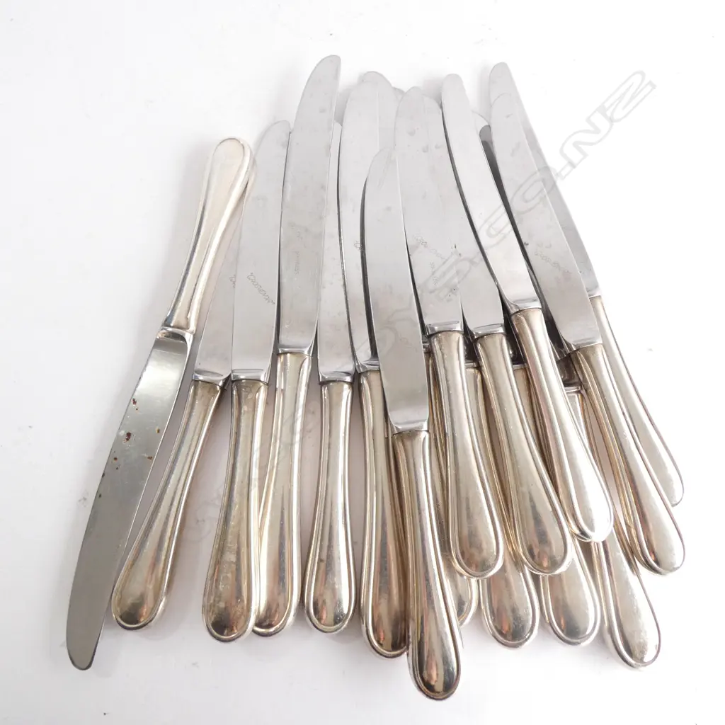 16 SILVER PLATED, STAINLESS BLADED DINNER & LUNCHEON KNIVES Image 1++