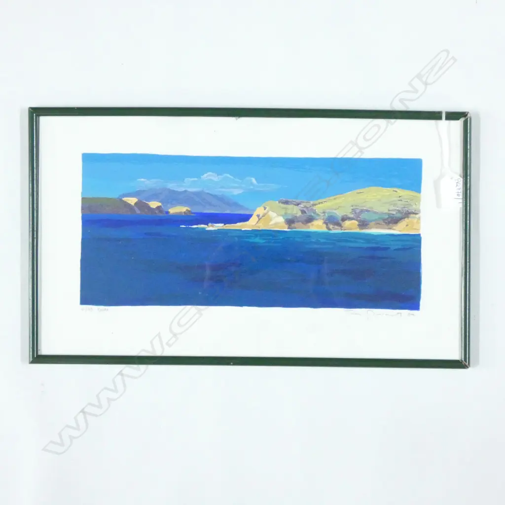 TOM BURNETT KAWAU PRINT '04 41/170 155 X 350MM Image 1++