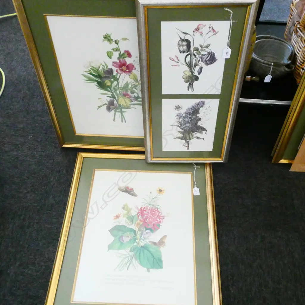THREE BOTANICAL PRINTS H 670 MM Image 1++