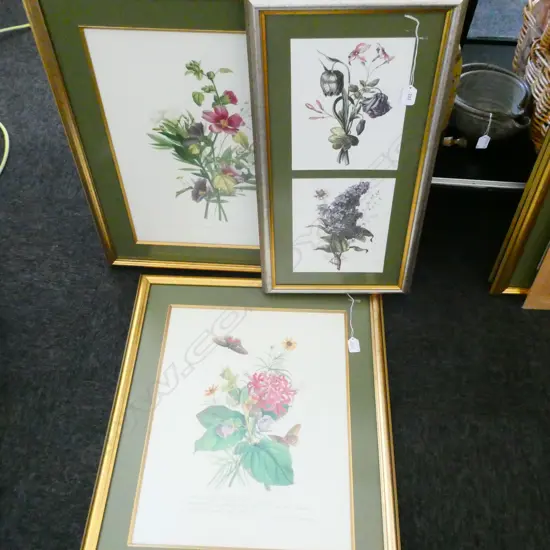 THREE BOTANICAL PRINTS H 670 MM