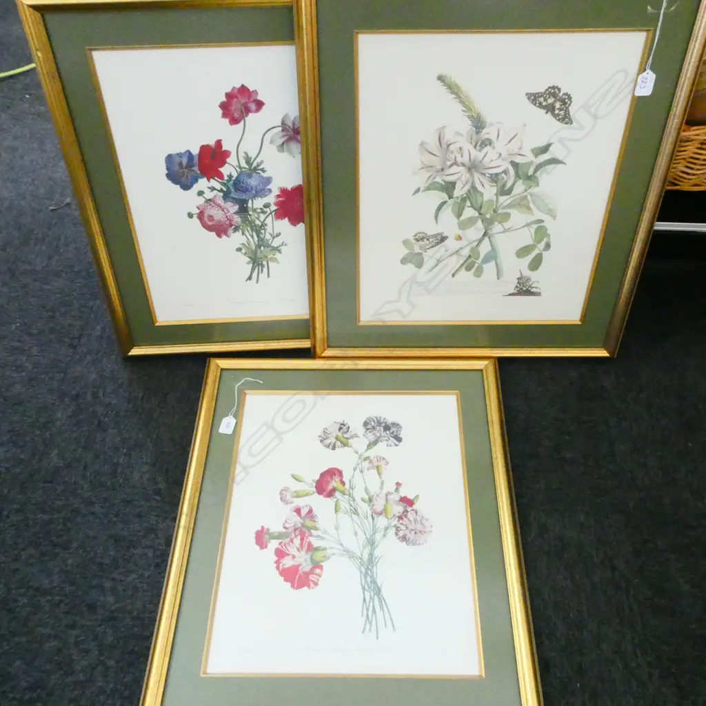 THREE BOTANICAL PRINTS H670 MM Image 1++