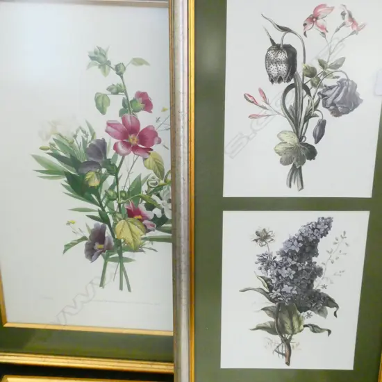 THREE BOTANICAL PRINTS H670 MM