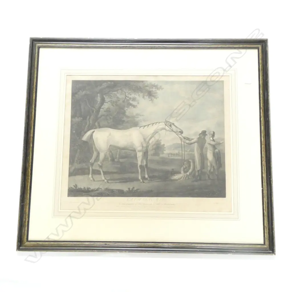 FRAMED EQUESTRIAN PORTRAIT ENGRAVING Image 1++