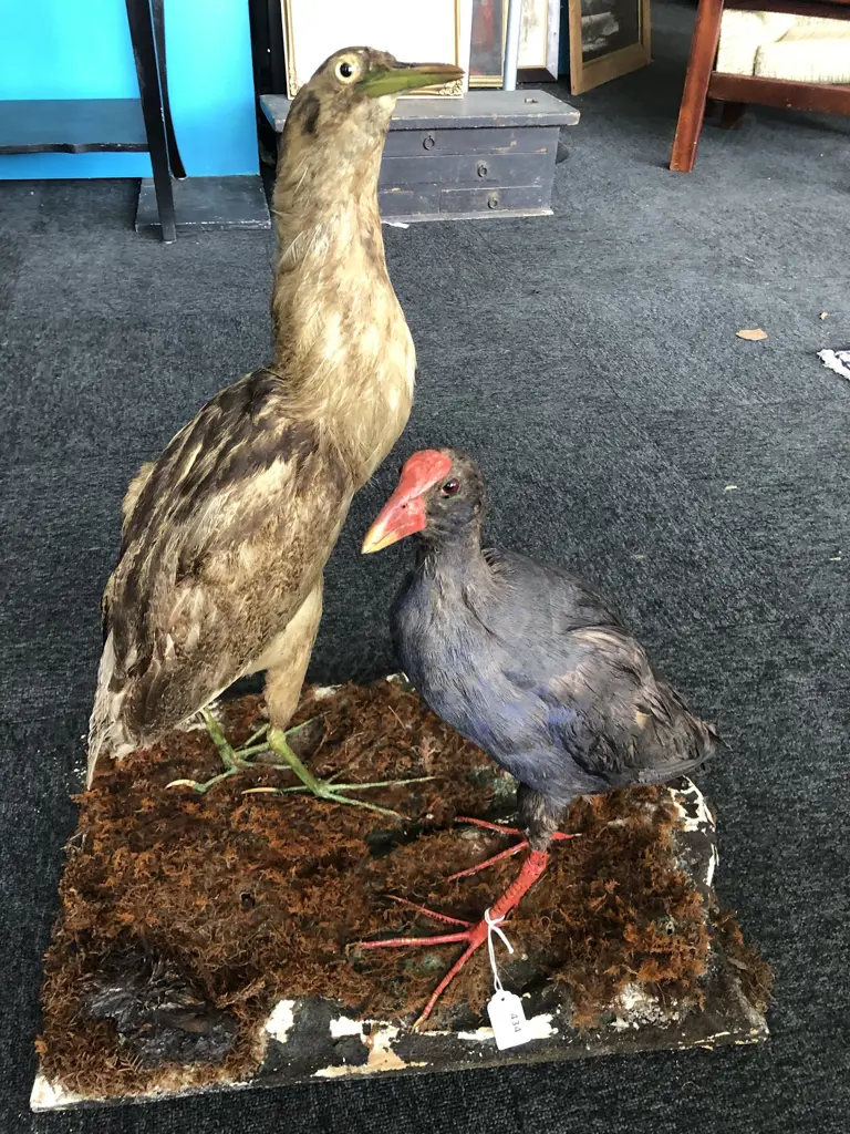 2 VINTAGE TAXIDERMY BIRDS ON SCULPTED BASE Image 1++