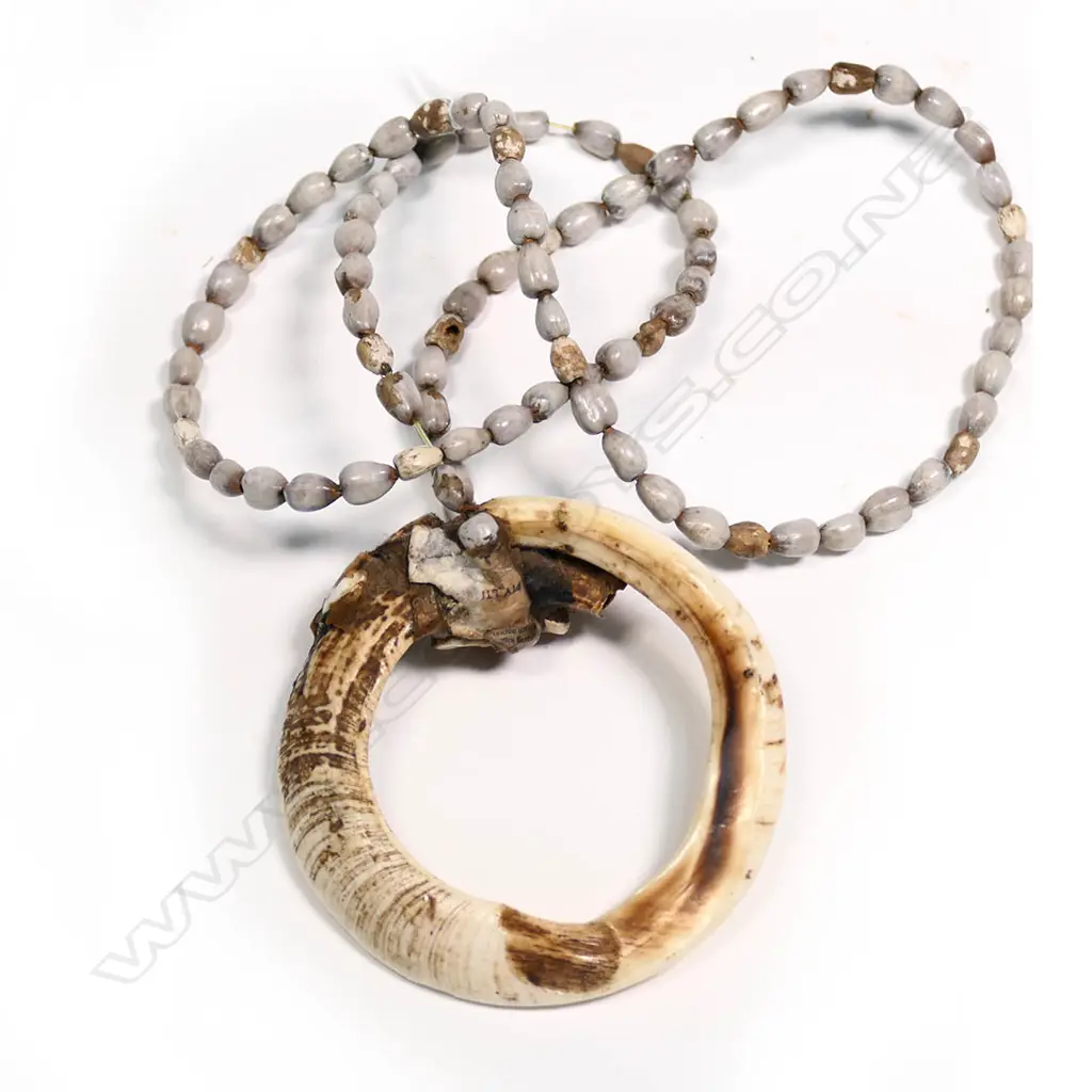 PNG ISLAND PIG TUSK & 'KINA' SHELL NECKLACE Image 1++
