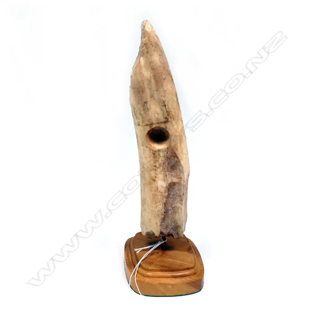 DOUG FINE SCRIMSHAW MAMMOTH TUSK SAILING SHIP L.195mm Image 1++