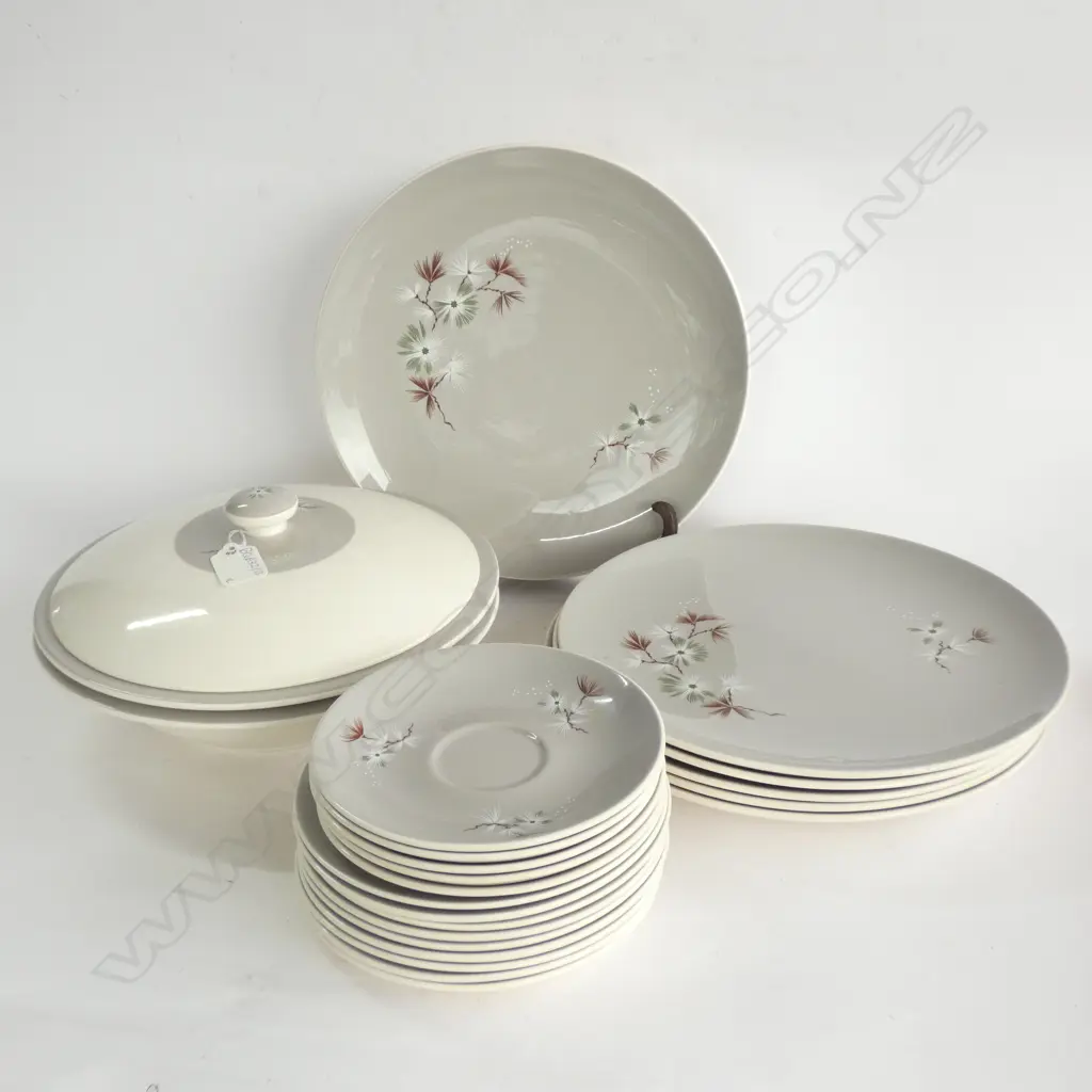 ROYAL DOULTON FROST PINE PART DINNER SERVICE  Image 1++