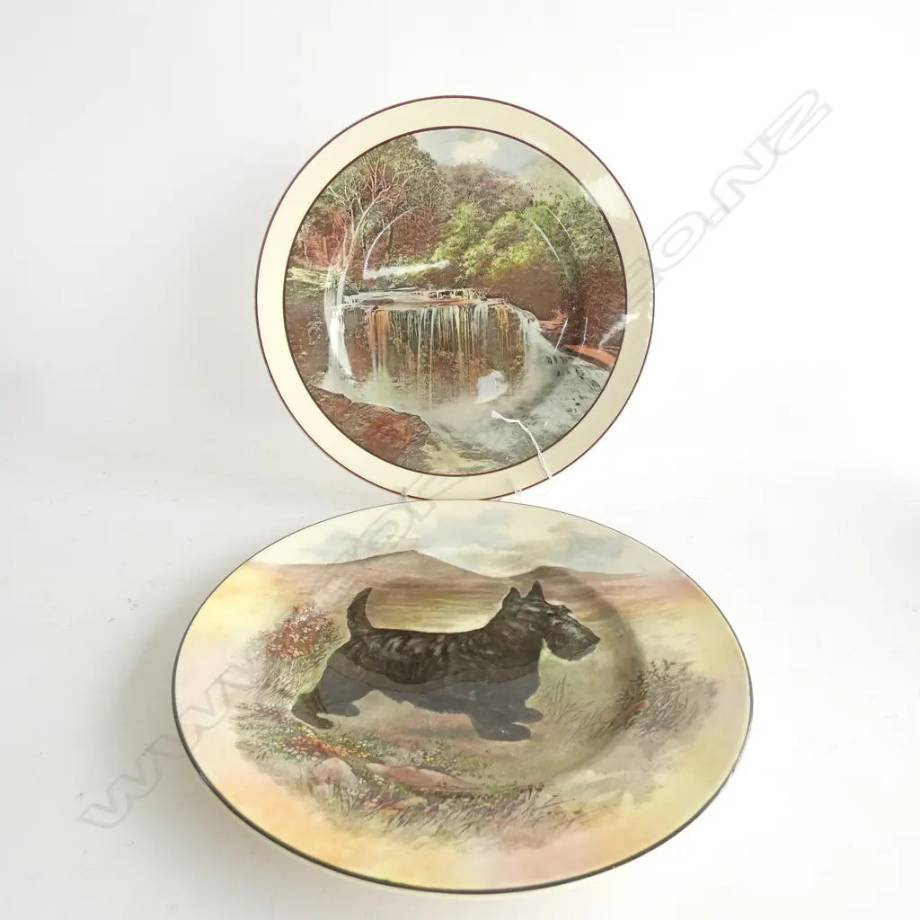 2 ROYAL DOULTON PLATES  D 260MM Image 1++