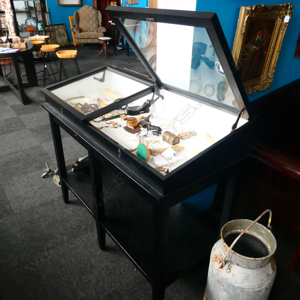 MODERN EBONISED DISPLAY VITRINE 2 SLOPING DOORS  Image 1++