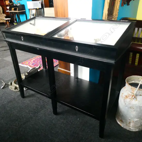 MODERN EBONISED DISPLAY VITRINE 2 SLOPING DOORS 