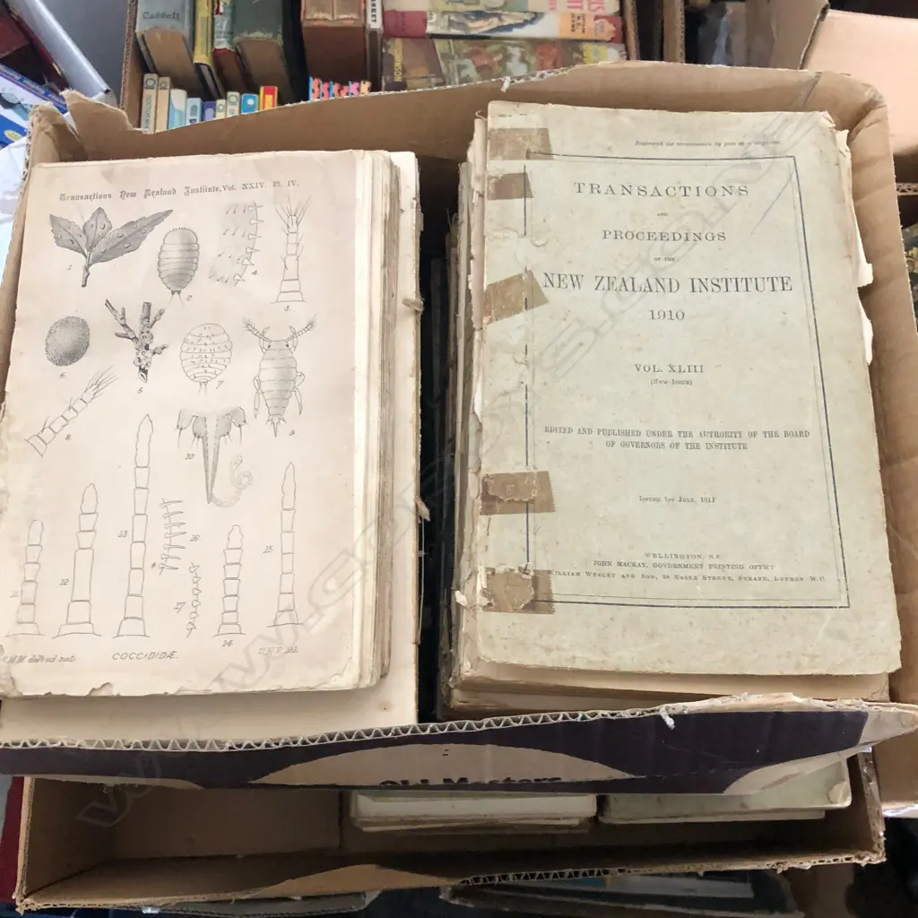 2 BOXES OF NZ INSTITUTE C. 1880 - 1910 C. Image 1++