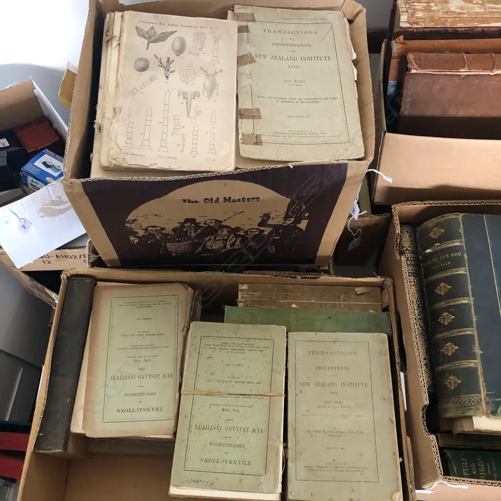 2 BOXES OF NZ INSTITUTE C. 1880 - 1910 C. Image 1++
