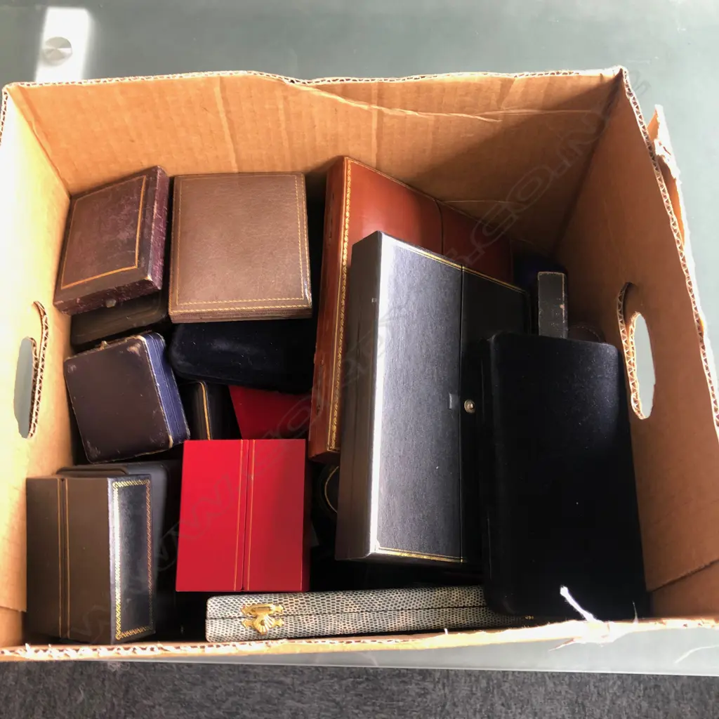 BOX LOT JEWELLERY DISPLAY BOXES Image 1++