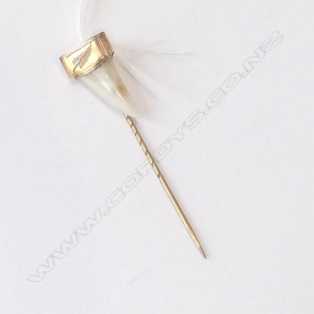 UNMARKED COLONIAL NZ GOLD & SHARK TOOTH TIE PIN Image 1++
