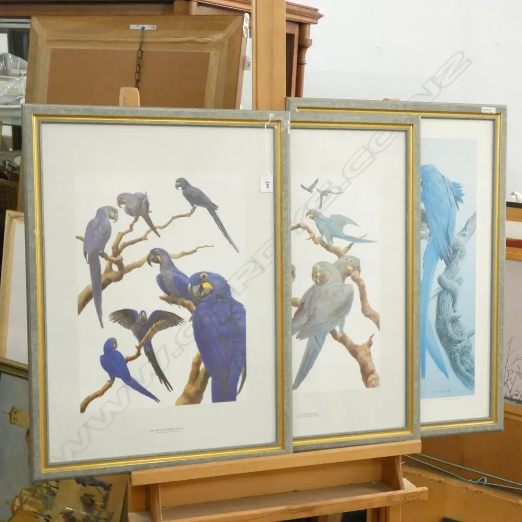 3 FRAMED BIRD PRINTS 410 X 390MM Image 1++