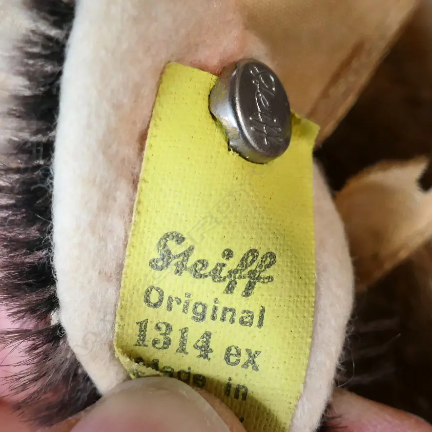 1317.0. With red leather collar; tag and button to ear. Image 1++