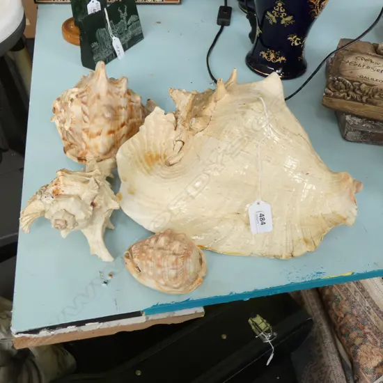 4 SHELLS 