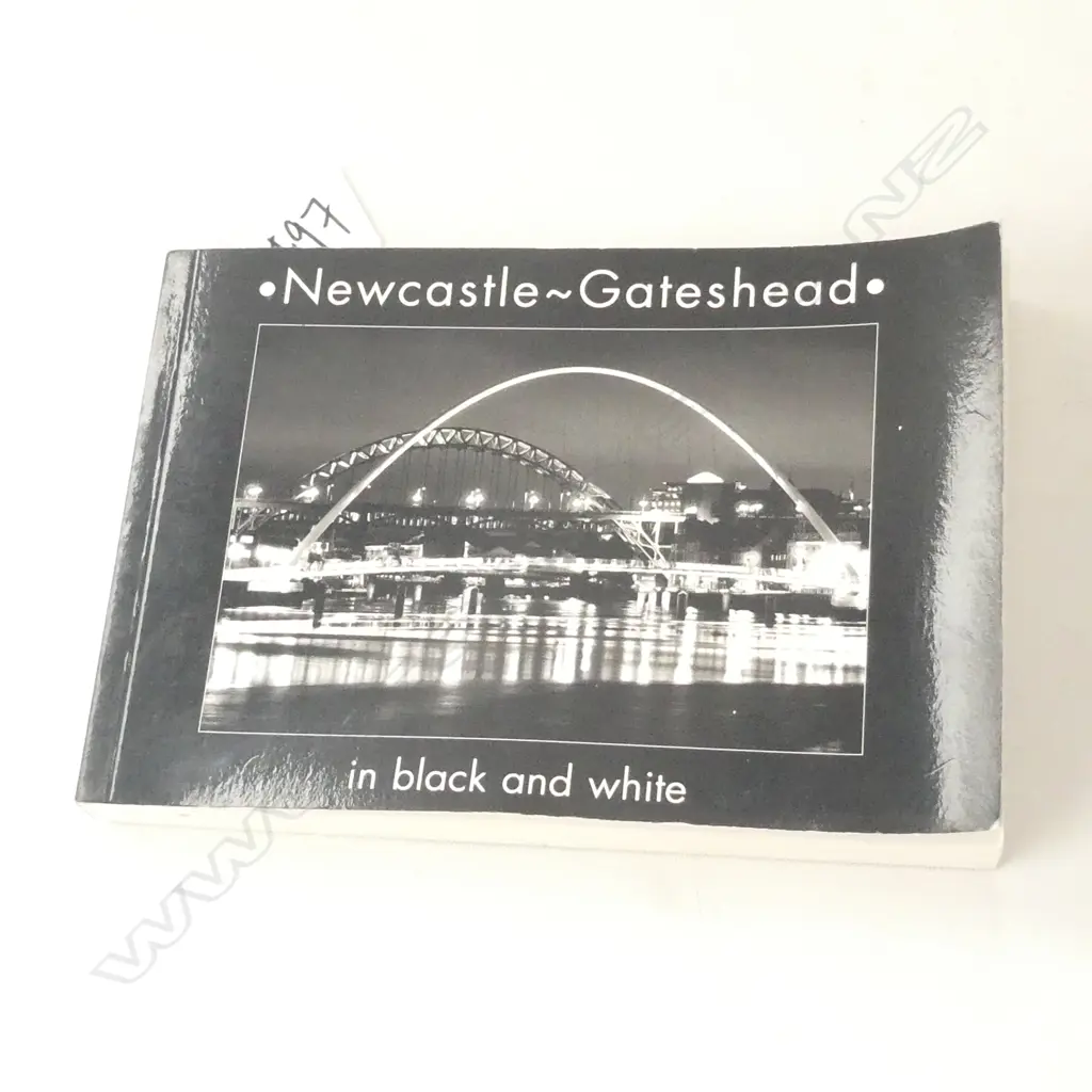 OLD TINKER BUILT IRON ARCHED BRIDGE WITH LAMPS L.550mm + BOOK Image 1++