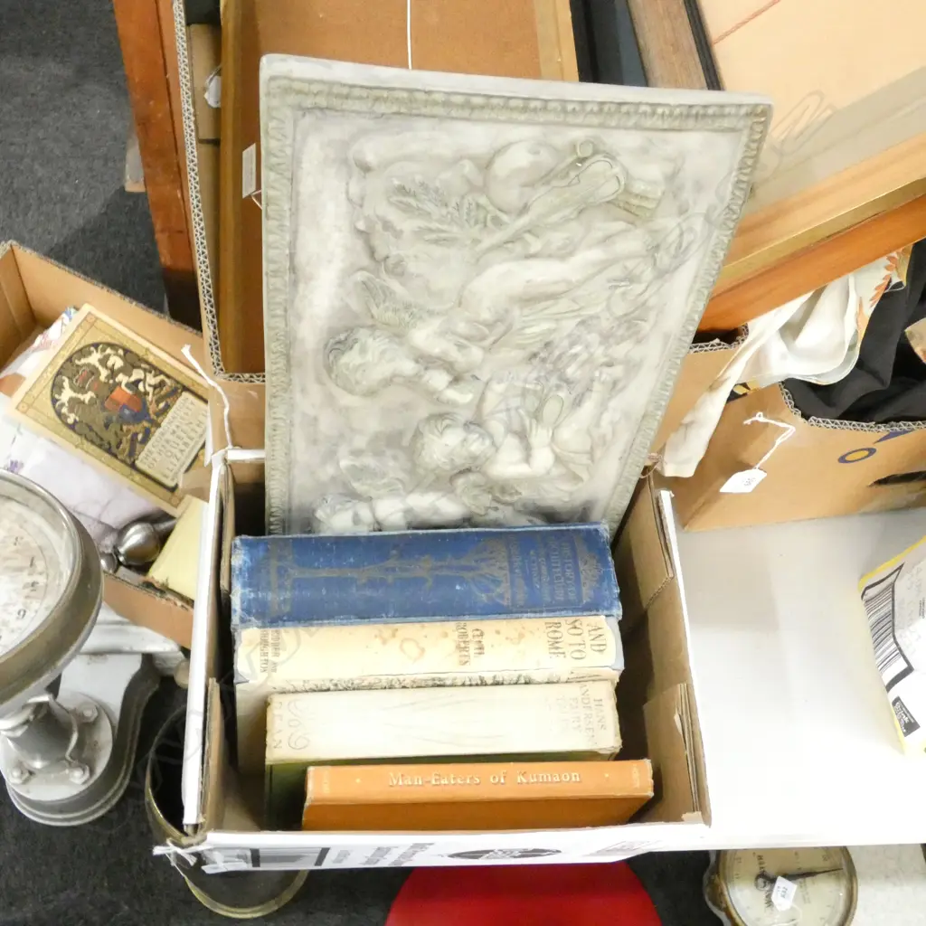 BOX LOT VINTAGE BOOKS + RESIN PLAQUE L. 425MM Image 1++