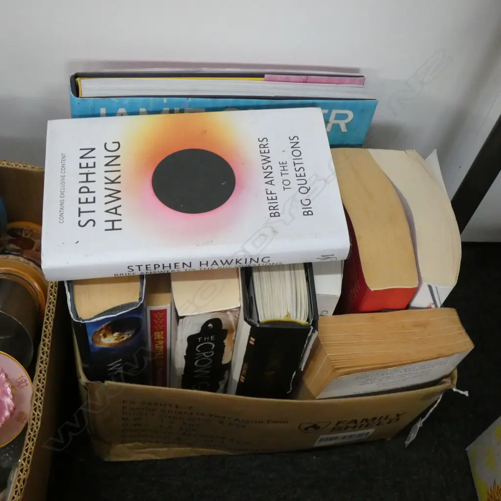 BOX LOT ASST. NOVELS ETC Image 1++