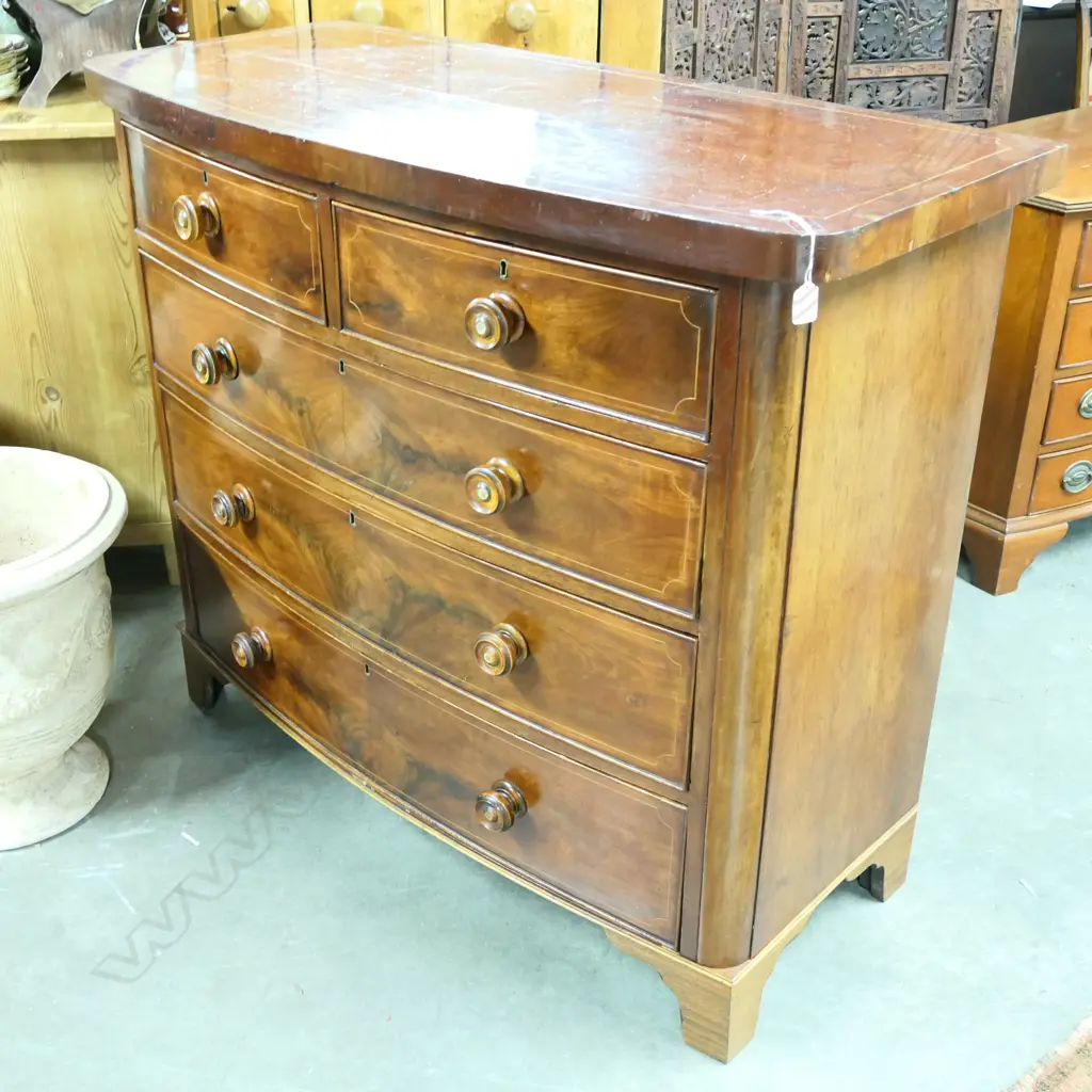 19thC MAHOGANY BOWFRONT CHEST OF FIVE DRAWERS Image 1++
