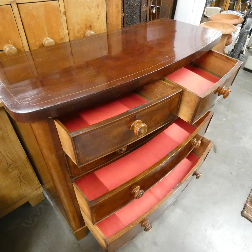 19thC MAHOGANY BOWFRONT CHEST OF FIVE DRAWERS Image 1++