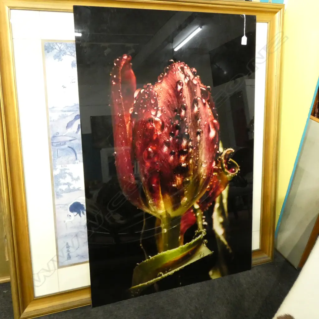 RED TULIP PRINT ON GLASS 1200 X 800MM Image 1++