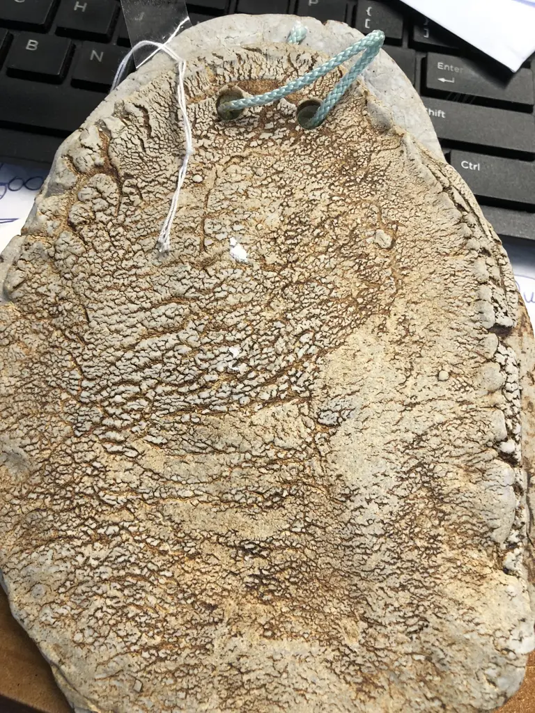 LEN CASTLE FOSSIL FORM WALL PANEL L.180mm Image 1++