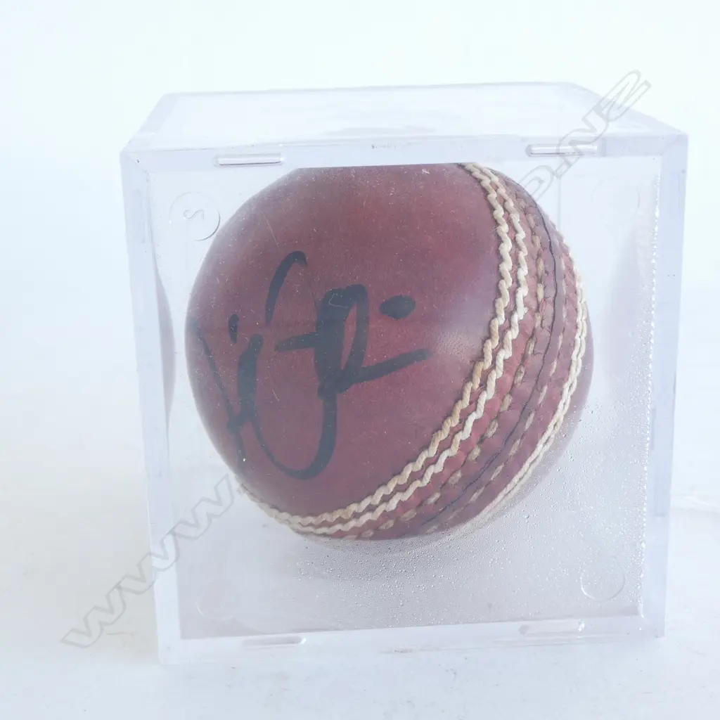 SIGNED DANIEL VETTORI CASED CRICKET BALL  Image 1++